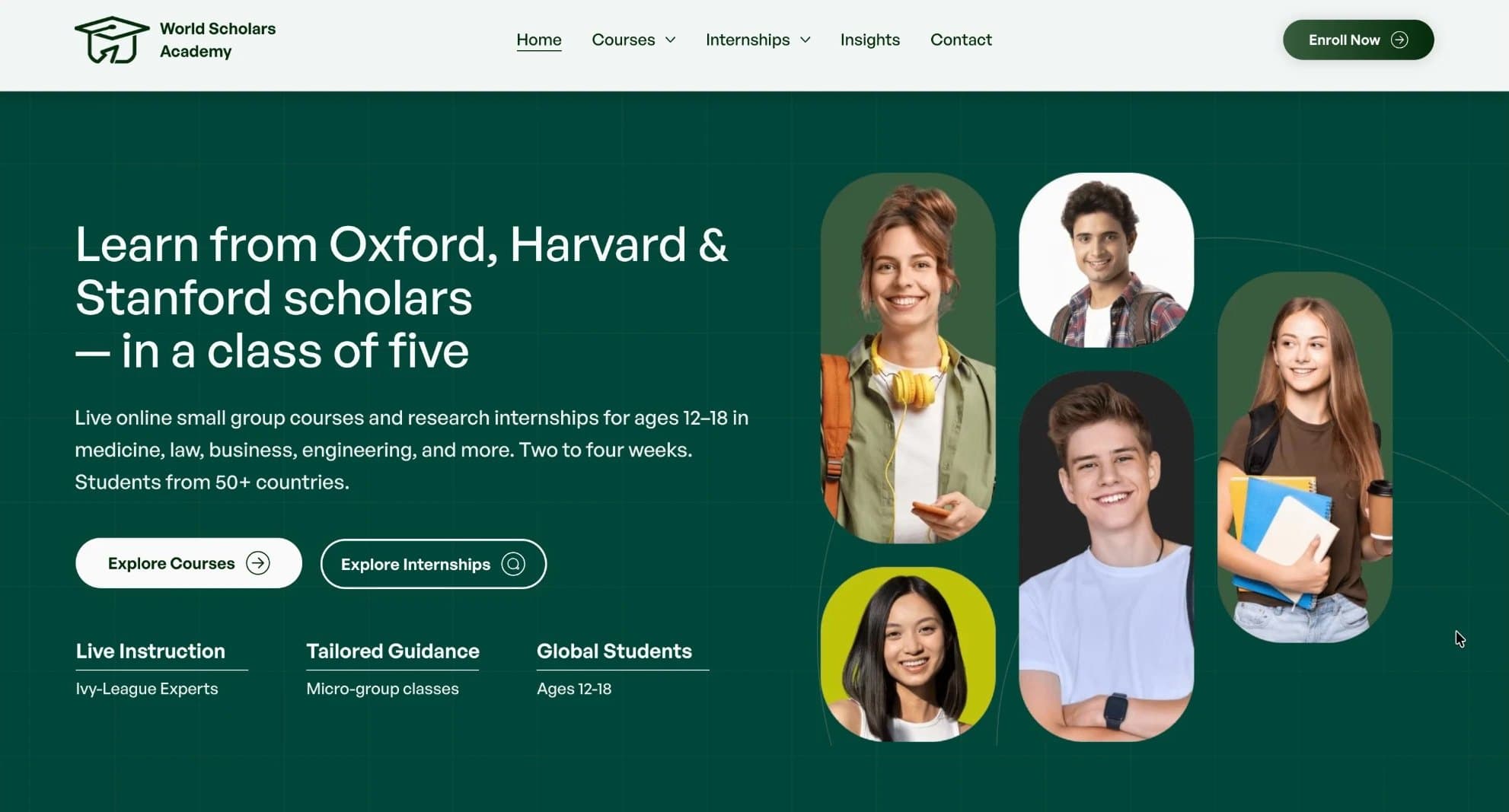 World Scholars Academy website homepage, designed and built by Shayan Ramezani